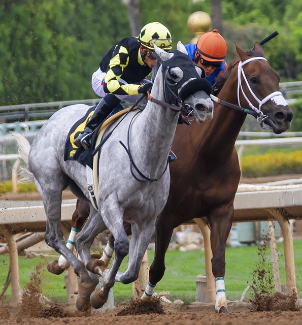 技术和耐力 技术和耐力