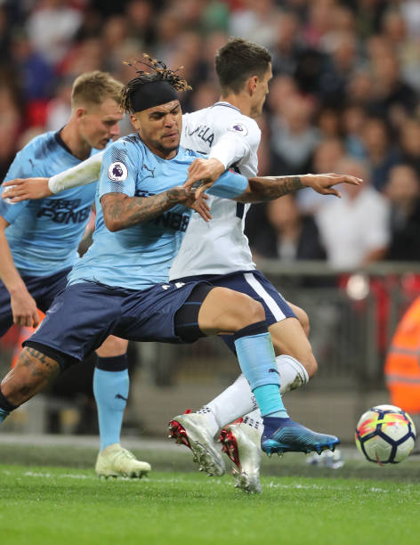 他聘请国外 他聘请国外